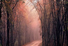 天涯神贴十大排名盘点：那些年我们追过的经典帖子