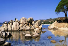 天涯神贴十大排名盘点：那些年我们追过的经典帖子